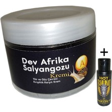 Giant Dev Afrikasalyangozu Kremi Yaşlanmakarşıtı 100ML + Hotrhino Erotikmasaj Yağı 60 ml