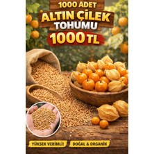 Köydeki Adam Altın Çilek Tohumu 1.000 Adet Hızlı Çimlenme