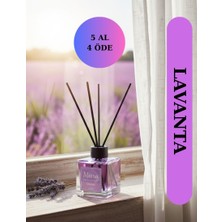 Misra Home 100ML Lavanta Kokusu Çubuklu Oda Kokusu Dolap Banyo Ev Oda Parfümü Oda Kokusu