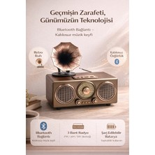 FaroxTech Retro Tasarım Nostaljik Gramofon Hoparlör - Bluetooth 5.0, Şarjlı & 3 Bant Radyo (Fm/am/sw)