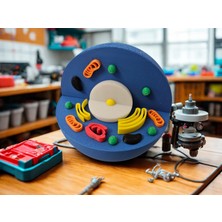 Corbell Hücre Modeli -Detaylı Hayvan Hücresi Eğitim Seti - Eğitici Biyoloji Maketi