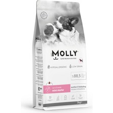 Molly Hypoallergenic Düşük Tahıllı Mini Starter Mother & Babydog Mini Irk Anne ve Yavru Köpek Kuru Maması 2 kg