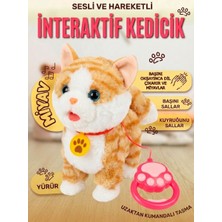 Mj Toys Müzikli Yürüyen Miyavlayan Yalayan Kuyruk Başını Sallayan Ses Kaydı Tekrarlayan Oyuncak Peluş Kedi Hareketli Oyuncak Sevimli Kedi