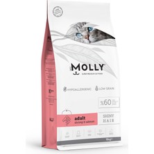 Molly Karidesli ve Somonlu Yetişkin Kedi Maması 15 Kg 