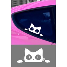 Mıgnatıs Kedi Oto Araba Sticker Yapıştırma