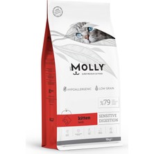 Molly Yavru Kuzu Etli Kedi Maması 15 kg