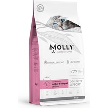 Molly Kitten Mother&babycat Tavuklu 15 kg