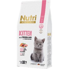 Nutri Feline Somon Etli Yavru Kedi Maması 10 kg Süper Premium Kalite Lezzetli Besin