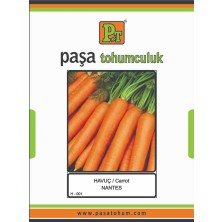 Paşa Havuç Tohumu 10 gr