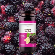 NW NessiWorld Organik Dut Özü 315 gr