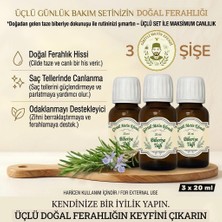 Giritli Metin Efendi 3 Şişe %100 Saf Biberiye Yağı 20 ml - Saç ve Cilt Bakımı Için Canlandırıcı Doğal Bakım Yağı