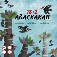 18+2 Ağaçkakan
