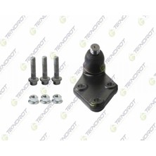 Otoco Rotıl Kıtı On Sag Mg Zs 2018-  10803555