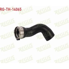 Otoco Bmw 1 Serısı (F20) / 3 Serısı (F30) Turbo Hortumu  13717597587