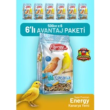 Bird Food Energy Kanarya Yemi 500 G - 6 Adet