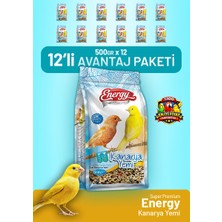 Bird Food Energy Kanarya Yemi 500 G - 12 Adet