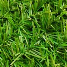 Ferotan Bahçe Çiti Örgü Telli Çim Çit Çim Görünümlü 10MX1M