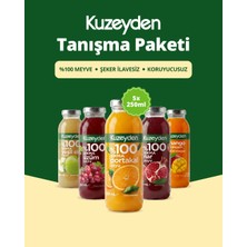 Kuzeyden Meyve Suyu Tanışma Paketi | 5X250ML | Ilave Şeker, Katkı ve Koruyucu Madde Içermez | %100 Meyve