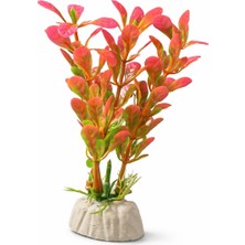 Petistera Plastik Akvaryum Bitkisi 10 cm PB17