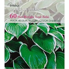 Evbahçe - 60 Her Mevsim Yeşil Bitki Pratik Bilgiler, Ipuçları ve Çözüm Önerileri