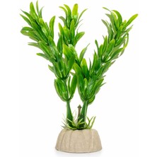 Petistera Plastik Akvaryum Bitkisi 10 cm PB16