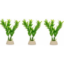 Petistera 3'lü Plastik Akvaryum Bitkisi 10 cm PB16