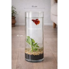 Heryerden El Işciliği Silindir Vazo  1.sınıf 15X40 cm Akvaryum Beta Balığı Japon Balığına Uygun