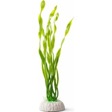 Petistera Plastik Akvaryum Bitkisi 30 cm - PB13