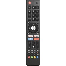 LCD LED Kumanda Strong Netflix Youtube Medıa Tuşlu