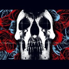 Plak Çalar Deftones – Deftones (LP) Plak - (Sıfır - Kapalı Ambalaj)