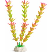 Petistera Plastik Akvaryum Bitkisi 20 cm - PB07