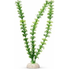 Petistera Plastik Akvaryum Bitkisi 30 cm - PB14