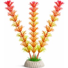 Petistera Plastik Akvaryum Bitkisi 20 cm - PB06