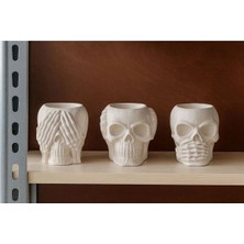 Sisay Home Dark Art Premium Kuru Kafa Dekorasyonu 3'lü Set- Obje, Dekor