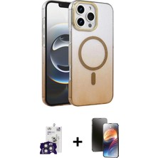 DS LLC Ieg™ iPhone 16 Pro Max Kılıf Ahenk Doku Özel Seri - Siyah 3D Antistatik Mat Seramik Nano Ekran