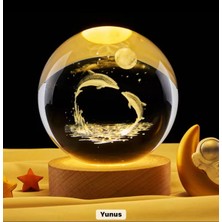 TeknoKapsül Yunus Küre