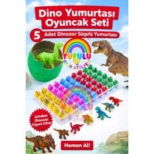 Yupulu Dinazor Animal Yumurtası Renkli Suda Çatlayan Yumurtalar ve Büyüyen Hayvanlar Dino Yumurtası 5 Adet