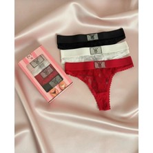 Pink Cadillac Taş Dantel Detaylı Şık 3'lü Tanga Seti (Özel Kutulu)