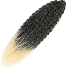 Alvera Brazilian Afro Daası  / Siyah / Platin Ombreli