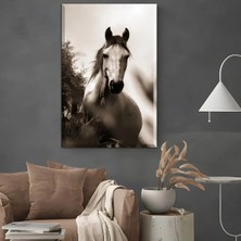 Harikabirev|şık At Tablosu 35 |çerçevesiz Kanvas Tablo