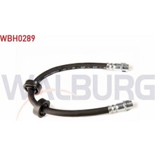 Otoco Volkswagen Transporter Iv (70XB,70XC,7DB,7DW) 1990-2003 Fren Hortumu Ön Sol-Sağ 340MM 7D0611701C