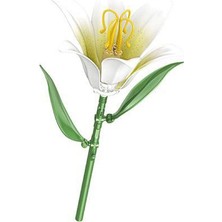 Dekofon P655053 Panlos Zambak 41 Parça Block Oyuncak