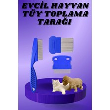 Pileli Store Kedi Köpek Tüy Bit Pire Toplayıcı Toplama Temizleme Tarağı Tarak Seti 4'lü Set