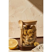 Poomy 480 ml Vakumlu Bambu Kapaklı Cam Kavanoz - Kaşıklı Mutfak Baharatlık ve Saklama Kabı