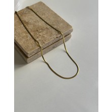 Luckyb Store 14K Altın Kaplama Ince Balıksırtı Kolye