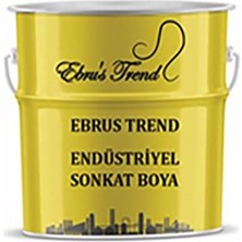 Ebrus Trend Endüstriyel Son Kat Boyası (2 Grup) 1 kg