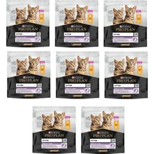 Pro Plan Kitten Yavru Tavuklu Kedi Kuru Mama 400 Gr. x 8 Adet