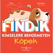 Alvera Fındık Kimselere Benzemeyen Köpek