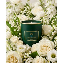 Nesso Soya Mumu 200 Gr. - 45 Saat Cam Tasarım Elma & Sandal Ağacı Masaj Etkili Hediyelik Mum