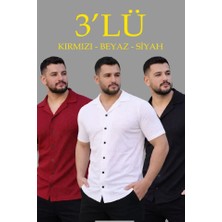 Adisia Erkek Waffle Dokuma Açık Yakalı Düğmeli Regular Kalıp 3’lü Gömlek Seti - Siyah, Kırmızı, Beyaz